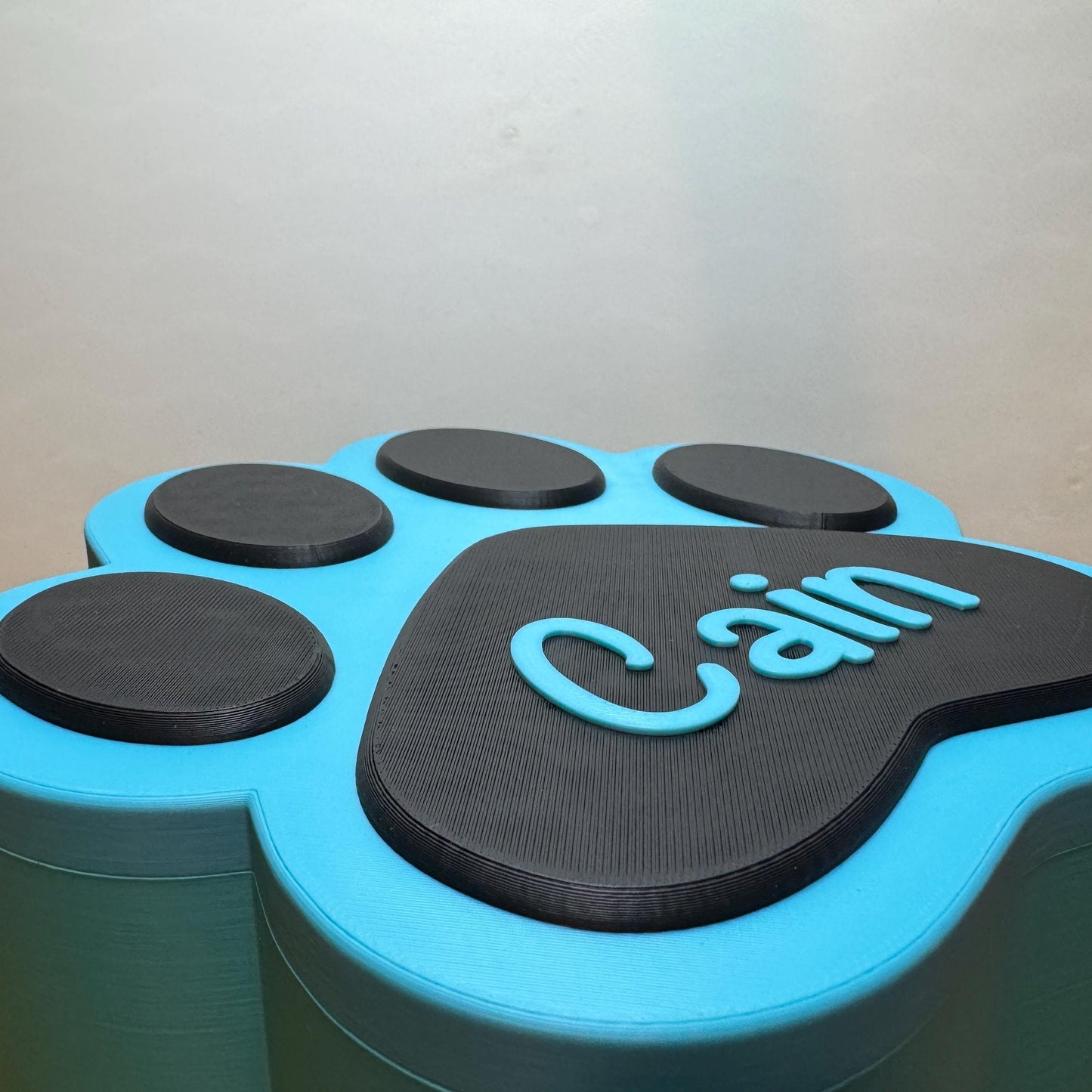 Small Personalised Paw Print Pet Memorial Box | 3D Printed Urn for Ashes & Mementos