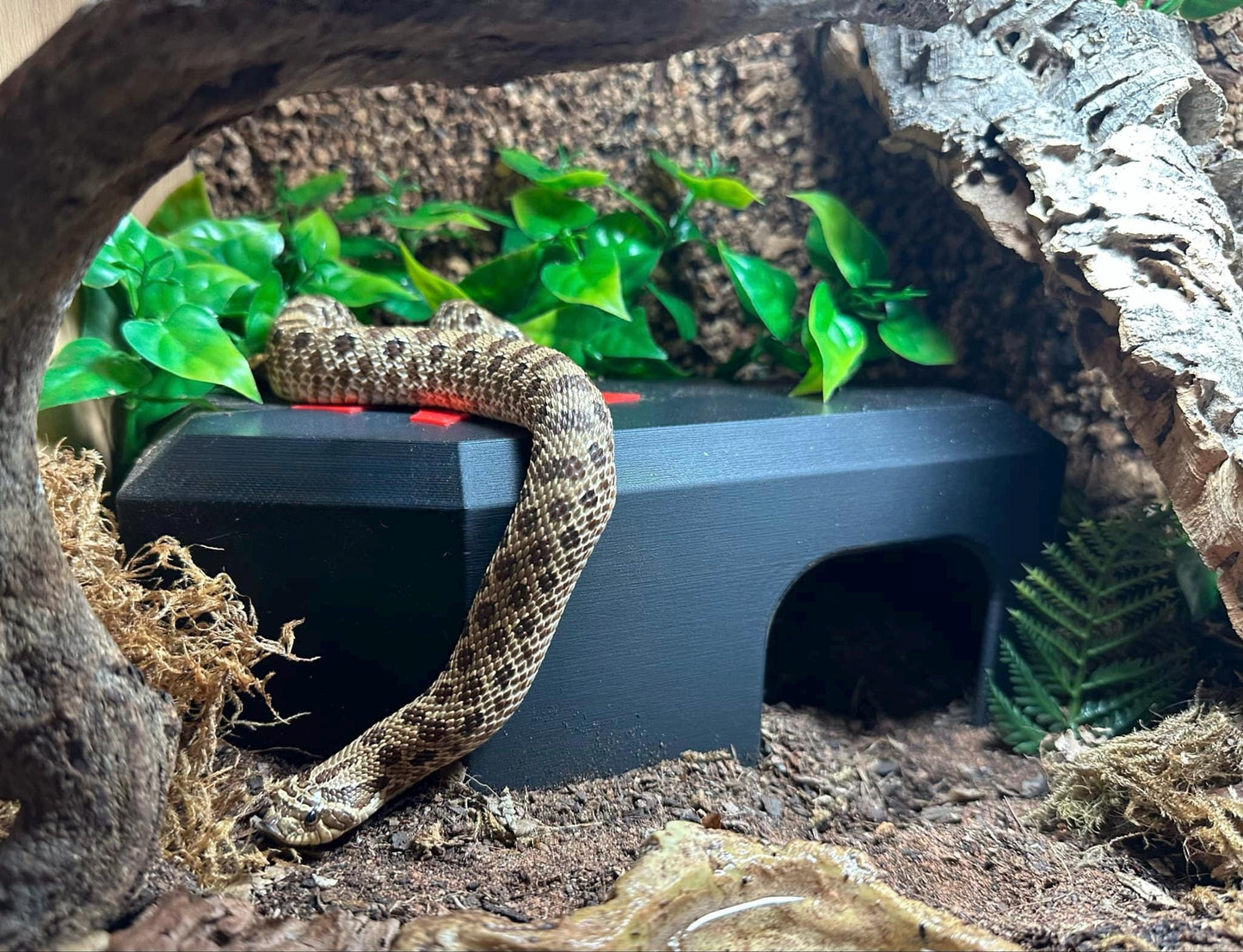 Reptile Coffin Hide | 3D Printed Gothic Enclosure Decor for Snakes, Geckos, Lizards | 9” Long Shelter/Cave/Home